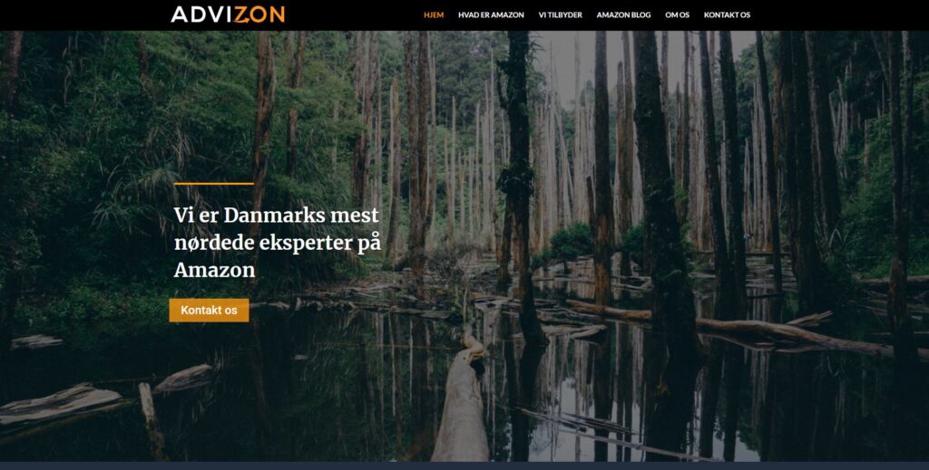 advizon hjemmeside designet af Damsgaardhjemmesider